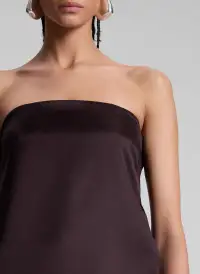 Ani Strapless Satin Top(Chocolate Plum,00)