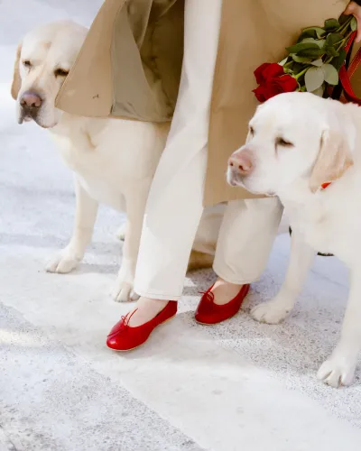 Porselli x Alex Mill Ballet Flat(Red,37)