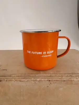 P'Jimmies The Future is Sleep Mug