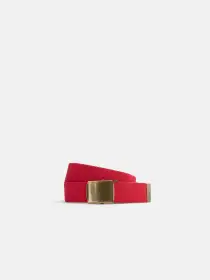 Solid Web Belt