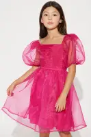 Mini Penelope Organza Mini Dress(Hot Pink,4/5)