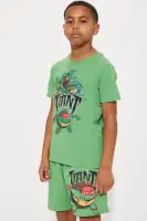 Mini TMNT Embroidered Short Set(Green,4/5)