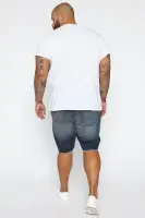 Earl Denim Shorts(Dark Wash,30)