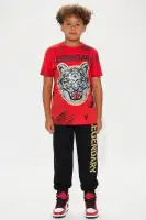 Mini Legendary Tiger Fleece Jogger Set(Red/Black,4)