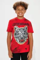 Mini Legendary Tiger Fleece Jogger Set(Red/Black,4)