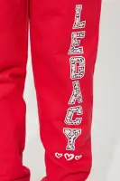 Mini Legacy Fleece Jogger Set(Red,2/3)