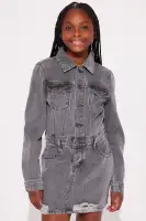 Mini Adriana Denim Mini Dress