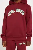 Mini Cool Vibes Fleece Hoodie & Jogger Pant Matching Set(Burgundy,4)